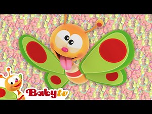The Box Dance with Tipa & Tupa | Fun for Toddlers @BabyTV - Videos For Kids