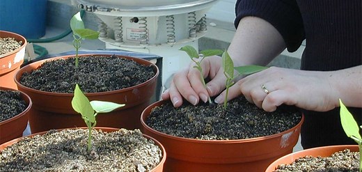 Formations agricoles par apprentissage | ESA Angers & Paris