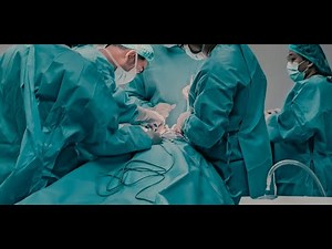 Hypospadias with Intact Prepuce (HIP): Morphological Variations and Advances in Surgical Treatment