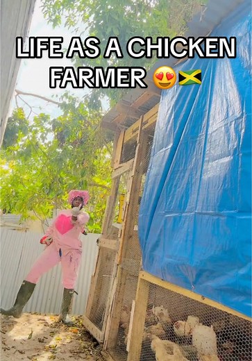 Britany Goffe Chicken coob. Farmer farming #fyp #jamaica #jamaicantiktok #jamaicantiktok🇯🇲viral #jamaicatiktok #viral #britanygoffe #brittanygoffe