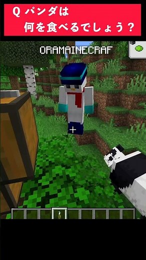 【マイクラ】99.9％の人は知らないパンダの好物 #shorts