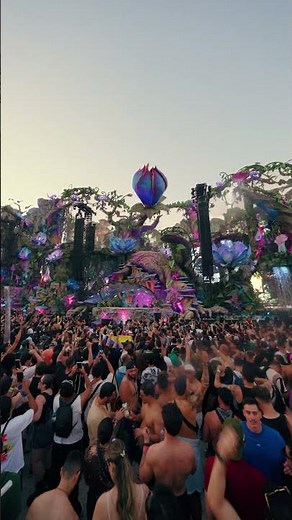 Kevin de Vries at the LIFE MainStage at Tomorrowland Brasil.