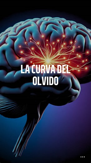 Cómo mejorar la memoria y aprender más rápido