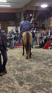 3.9K views · 45 reactions | 6 yr old buckskin gelding Sold $3100 | Smokey Lane Stables | Facebook