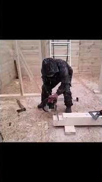 The 4-Day House! 🤯 Watch Us Build a Tiny Home From START to FINISH! 🏡⏱️