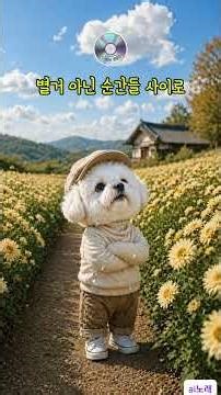놓아주는 밤 #shorts#비숑프리제