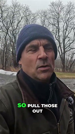 Clean Your Tractor's Radiator Screen DAILY for Peak Performance! #shorts