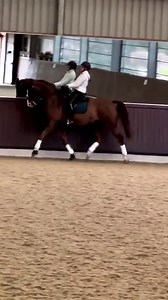 All the hard work @rubyhughes_official and Wex have put in is paying off! 🤩 We are so excited for their future together! . . . #equestrianlife #equestrianstyle #equestrians #dressage #dressagehorse #dressagerider #dressagetraining #dressagelife | Classic Dressage