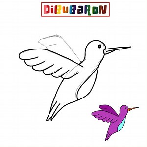 Cómo dibujar un Colibri paso a paso | Dibujos fáciles | DibuBaron