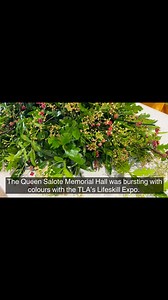 4.4K views · 47 reactions | Women from villages across Tonga have put...