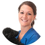 30 Dog Groomer Resume Examples in Pdf & Text   Guide | 2025