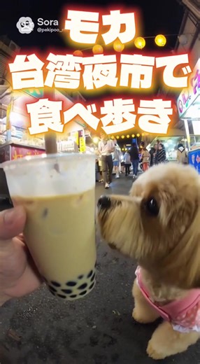 台湾夜市で楽しむモカとペキプー