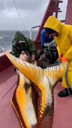 🤑🤑🤑 Golden Mermaid Caught By Fishermen! #trending #shorts #viral #aestheic