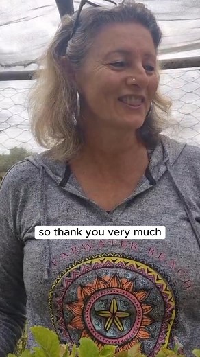 What If That Backyard Weed Is Actually Herbal Medicine? Most people pull healing plants without realizing they’ve been used for centuries—and are now backed by science. After 19 years of research, I created a spiral-bound guide to help you rediscover 200 natural remedies hiding in plain sight. Inside, you'll get: 🌿 130 home remedies using common ingredients 📖 Herb profiles with usage tips & modern science 📊 17 sections covering joint pain, digestion, immunity & more 🎨 Illustrated pages for e