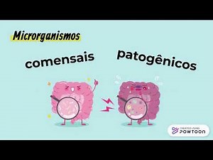 Composição e formação do biofilme dental