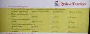 Multiple Choice Questions on Reproduction in PlantsProduction... | Filo