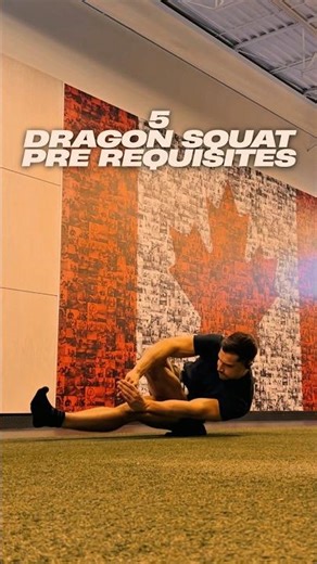 5 DRAGON SQUAT CHEAT CODES UNLOCKED 🔐