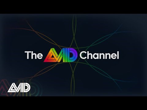 THE AVID CHANNEL - Official AV Logo