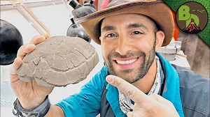 Museum space challenge: Making it fit