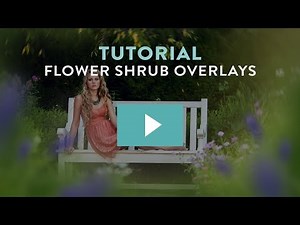 How to Add Flowers and Shrubs in Photoshop