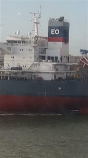 Europort Europoort Rotterdam to Hull OldenDorf Shinwa Maru Bocimar Mineral Zambia