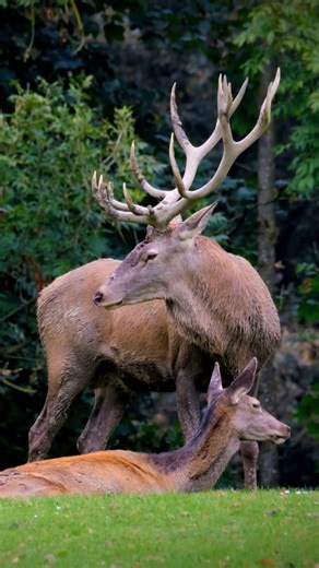 “A Few Seconds of Peace” | Gentle Calm Piano.