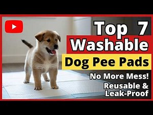 Top 7 Best Washable Dog Pee Pads Reusable Review (Hidden Gem) Mess-Free Guide 2026