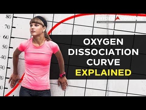 Oxygen Dissociation Curve Explained - Bohr Effect