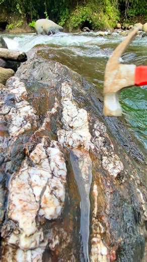 Afri Discovery | The discovery of true gold wealth | Instagram