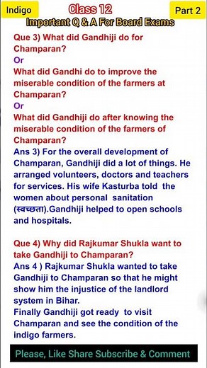 Class 12 English | Indigo | Important Questions & Answers | Board Exams | Part 2