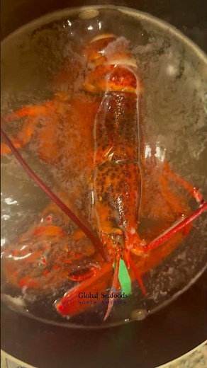 How to Cook Live Cold-Water Lobster | Step-by-Step Lobster Cooking at Home
