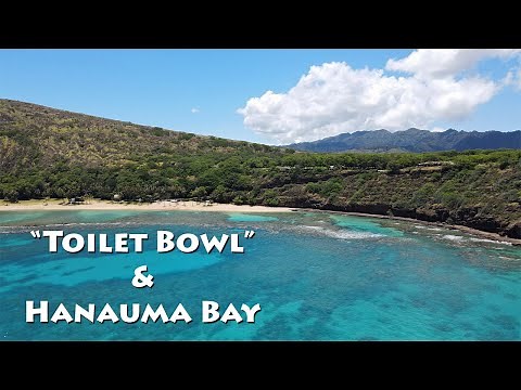 Oahu's "Toilet Bowl" and an "Empty" Hanauma Bay - Seals included!