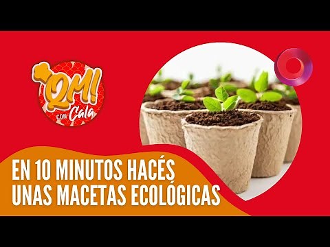 Macetas biodegradables ¡es posible!