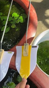 Siêu phẩm #theotuinao