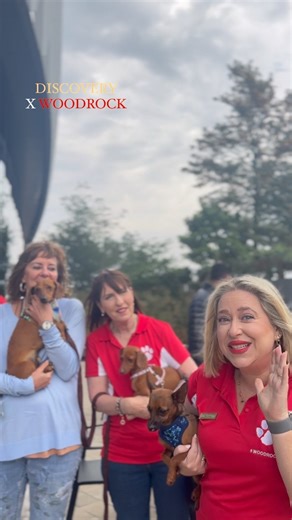 2.1K views · 53 reactions | The secrets out! 狼 “Happiness is having a wagging tail by your side!”  The Woodrock team and our adorable dogs are on an exciting adventure this morning, to the Discovery building to be apart of their Wellness Day. @discovery_sa Let our darling dogs show you just how much they can improve our mental well-being! 﫶 #mindmatters #DiscoveryxWoodrock | Woodrock Animal Rescue | Facebook