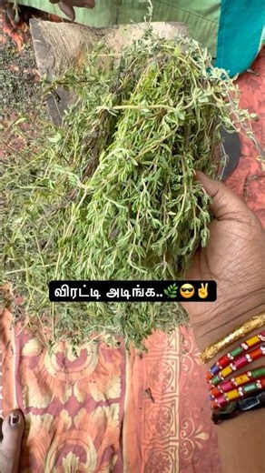 😎Viratti adikkalaam..👍🏽Remedy for cough and cold.Thyme leaves💚✅🌿#nature#healthyliving#shorts