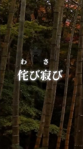 よく見てください 侘び寂び… #侘び寂び #竹林 #異界 #心霊 #怖い #トラウマ #いわく付き #稲川淳二 #心霊スポット #ほん怖 #怪現象 #事故物件 # 怖い話 #幽霊 #お化け