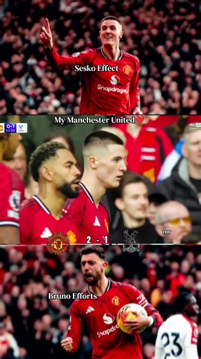 The Rise of Manchester United: A Fan's Perspective