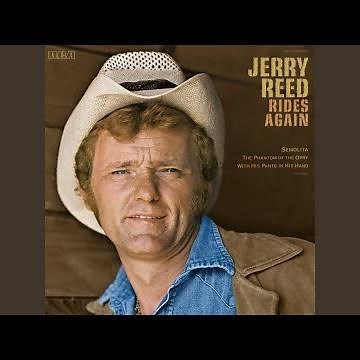 [I'm Just a] Redneck In a Rock and Roll Bar