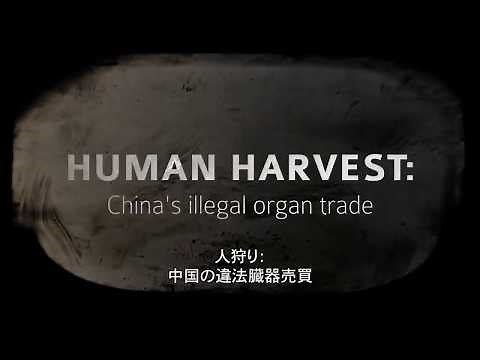 ドキューメンタリ『人狩り(Human Harvest)』予告編