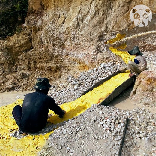 73K views · 482 reactions | Mining gold using ancient techniques | Hungry Panda | Facebook