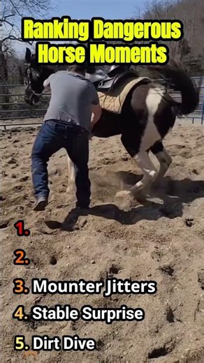 Top 5 Most Dangerous Horse Encounters 🐎💥