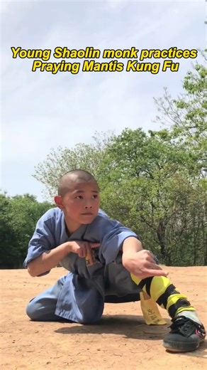 All about Martial Arts on Instagram: "Watch as a young Shaolin monk demonstrates Praying Mantis Kung Fu. Known in Chinese as Tanglangquan, Praying Mantis Kung Fu is one of the most famous animal-based Kung Fu styles. It features short, agile techniques that balance offense and defense, emphasizing dynamic footwork combined with a strong, stable lower base. #martialarts #martialartslife #wushu #kungfu #kungfulife #training #trainingmotivation #Shaollin #TBT #imitate #animals"