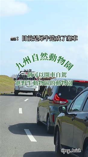 繼上次在冰島等馬過馬路，這次在九州是等犀牛過馬路。 九州大分縣的九州自然動物園，可以直接開自駕車進去園區，黑熊、羚羊直接從你旁邊路過這樣🤣 From waiting for horses to cross in Iceland, now rhinos in Kyushu! Drive-thru at Oita’s Kyushu Natural Zoo—bears & antelopes zoom by 😂 Epic! #KyushuAdventure #野生動物園 #自然動物園 #九州自然動物園 #KyushuZoo