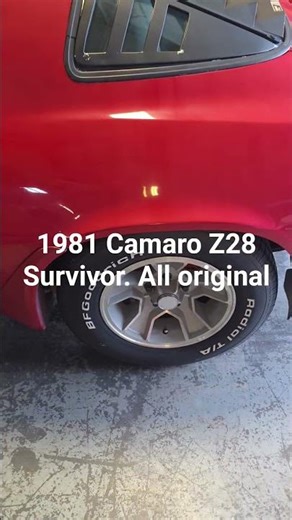 1981 Camaro Z28 Survivor. All Original.