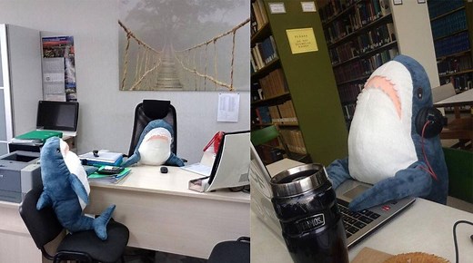 What Does 'Blåhaj' Mean? The Seemingly Inexplicable Popularity Of IKEA's Iconic Shark Plushie Explained