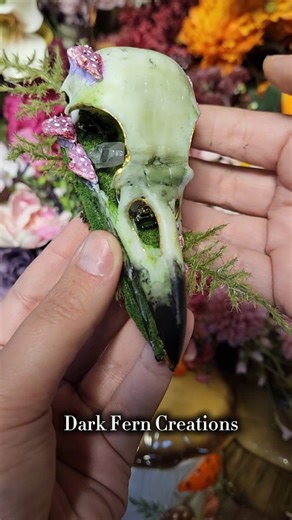 ✨️This little Raven skull(replica) is holding a secret✨️ 💍This was my very first time getting to help make someone's proposal extra special. I'm low-key obsessed with how it came out 🥰 The ring is mine just for an example, but you get the idea! 😆 . . . . #ring #wedding #proposal #propose #ravenskull #raven #ferns #oddities #vultureculture #moss #naturelover #skullcollecting #bonecollecting #marriage #engagement #engaged | Dark Fern Creations