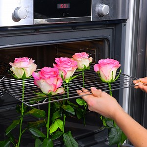 1.6M views · 2.2K reactions | Easy Trick to Preserve Dried Flower Beauty! | 5-Minute Crafts | Facebook