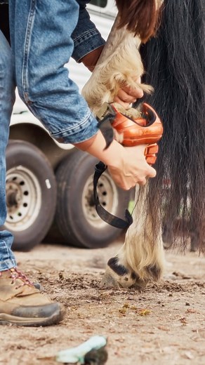 2.3K views · 51 reactions | Renegade Hoof Boots - The Ultimate Hoof Boot! ✅ Designed to go the distance ✅ Made in the USA for barefoot horses ✅ The versatile, high tech boot design you need to protect you horse’s natural hooves while riding on rough terrain | Renegade Hoof Boots | Facebook