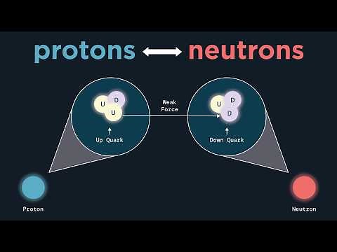 Introduction to the Weak Interaction